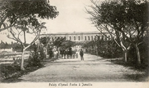 Viceroy Collection: Road to the palace of Isma il Pasha in Ismailia, Egypt
