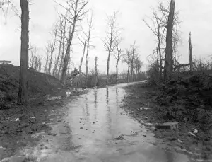Bleak Prints: Road to Puisieux, France, Western Front, WW1