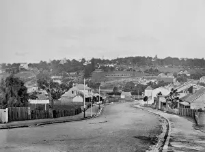 New South Wales Prints: Road through suburbs