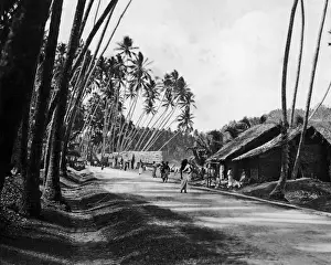 Roadway Prints: Roadway, Ceylon (Sri Lanka)