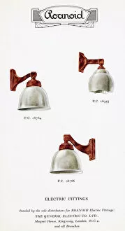 Images Dated 23rd March 2020: Roanoid bakelite electric light fittings