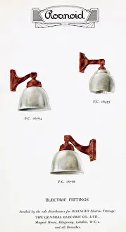 Roanoid bakelite electric light fittings