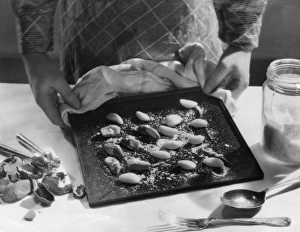 Hazel Collection: Roasted Hazel Nuts