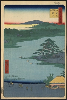 Pond Collection: Robe- (or scarf) hanging pine, Senzoku pond