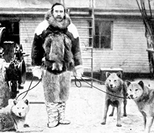 Images Dated 20th August 2004: Robert E. Peary and some husky dogs, 1909