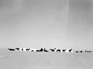 Edgar Collection: Robert Falcon Scott, Terra Nova Expedition, Antarctic