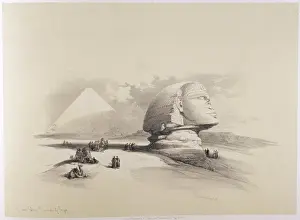 Roberts / Sphinx / Side On