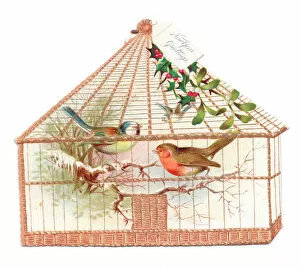 Holly Collection: Robin and blue tit in a cage on a cutout New Year card