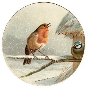 Tits Prints: Robin and blue tit on a circular Christmas card