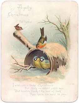 Robins Prints: Robin, two blue tits and wren on a Christmas card