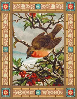 Redbreast Prints: Robin on a Christmas card