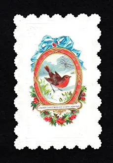Robin on a Christmas and New Year card