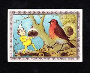 Decorative Bird
