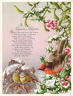 Sheltering Prints: Robin and two great tits on a Christmas card