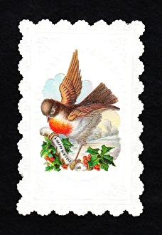 Decorative Bird