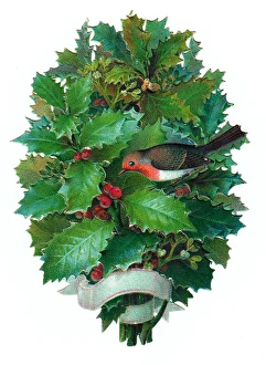 Images Dated 2nd November 2015: Robin with holly on a Victorian Christmas scrap