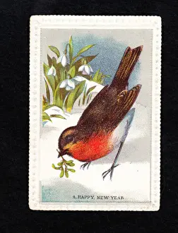 Snowdrop Prints: Robin with mistletoe and snowdrops on a New Year card