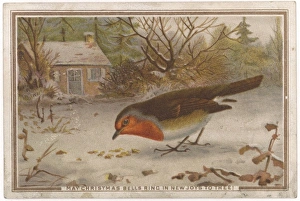 Customs/Christmas/Robins
