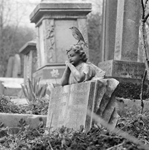 Images Dated 29th May 2007: A robin perched on the sculpture of a child leaning on an open book