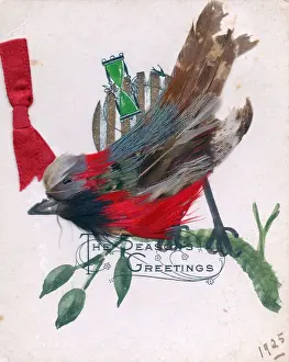 Robins Prints: Robin made from real feathers on a Christmas card
