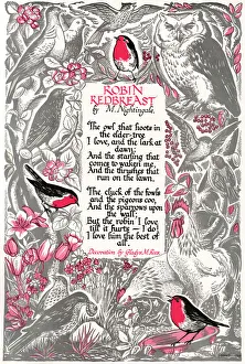 Images Dated 16th March 2012: Robin Redbreast