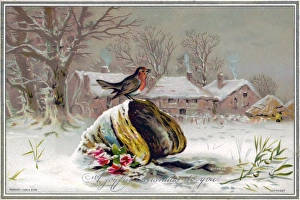 Robin with Winter Scene