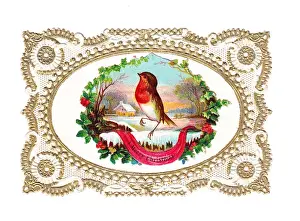 Robin in the snow on a Christmas card