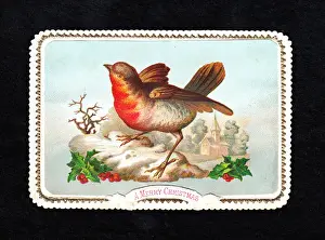 Robin in the snow with holly on a Christmas card