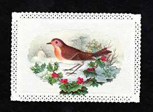 Robin in the snow with holly on a Christmas card