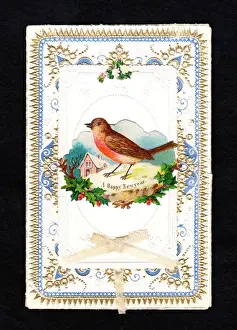 Robin in the snow on a New Year card