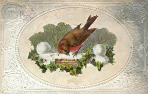 Customs/Christmas/Robins