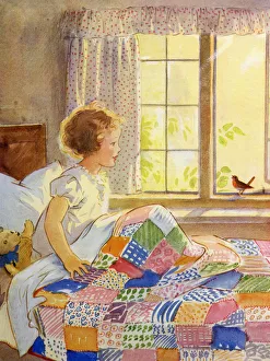 Sill Gallery: Robin on the window sill