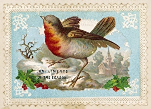 Robin with Winter Scene