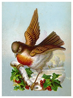 Customs/Christmas/Robins