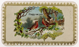 Customs/Christmas/Robins