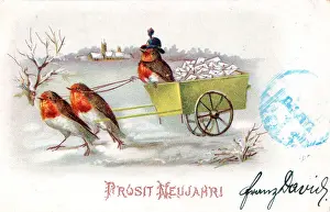 Robins Prints: Robins with a cart on a German New Year postcard