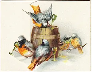 Five robins on a Christmas card