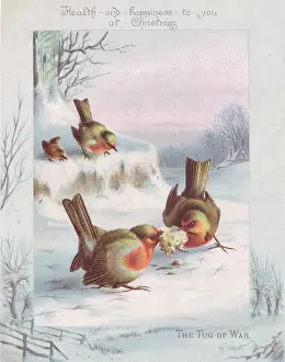 Redbreast Prints: Robins on a Christmas card