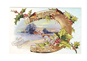 Robin with Winter Scene