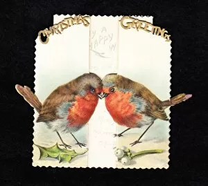 Seasonal Collection: Two robins with holly and mistletoe on a Christmas card