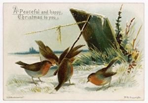 Customs/Christmas/Robins
