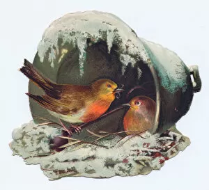 Victorian and Edwardian Christmas Cards Gallery: Robins nesting on a bell-shaped Christmas card