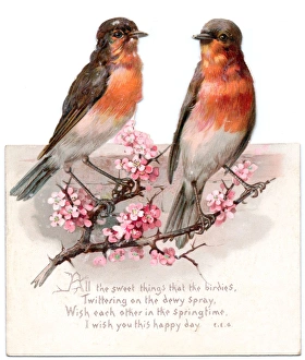 Images Dated 5th October 2017: Two robins on a reversible Christmas card