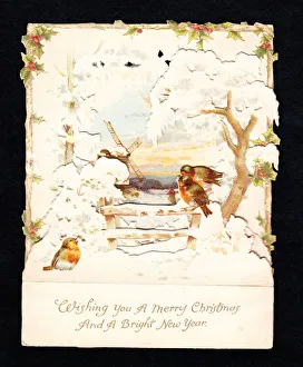 Images Dated 21st June 2018: Robins in the snow on a Christmas and New Year card