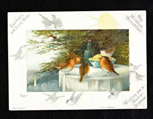Four robins and a wren on a Christmas card