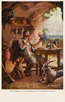 Crusoe, Parrots, Cats