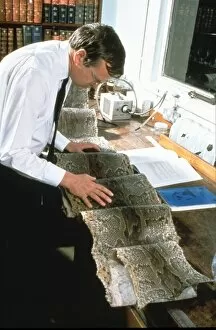 Lepidosaur Gallery: Rock Python skin