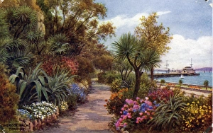 Torbay Collection: The Rock Walk showing the Pier, Torquay, Devon