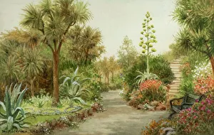 Rock Walk, Torquay, South Devon