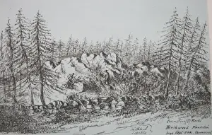 Charnwood Prints: Rocks at Birchwood Plantation, Swithland, Leicestershire